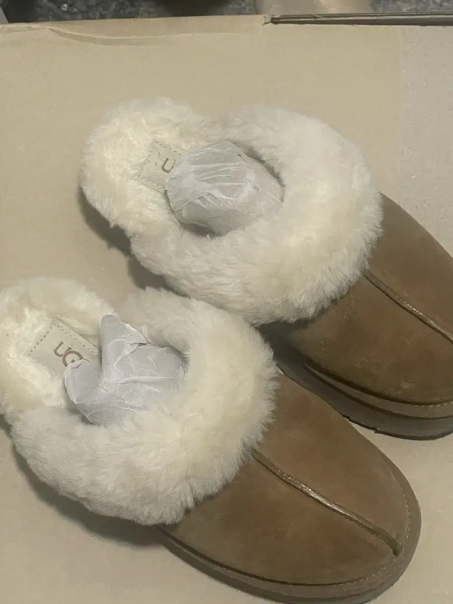 UGG   어그 USA 7 사이즈 235-240 팝니다 / 5회미만착용