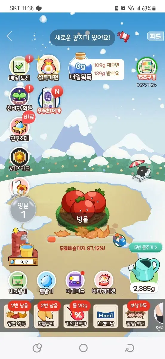 올팜 맞팜