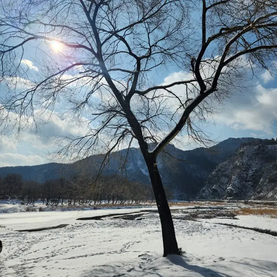 구글 콘.텐츠이용료 판매