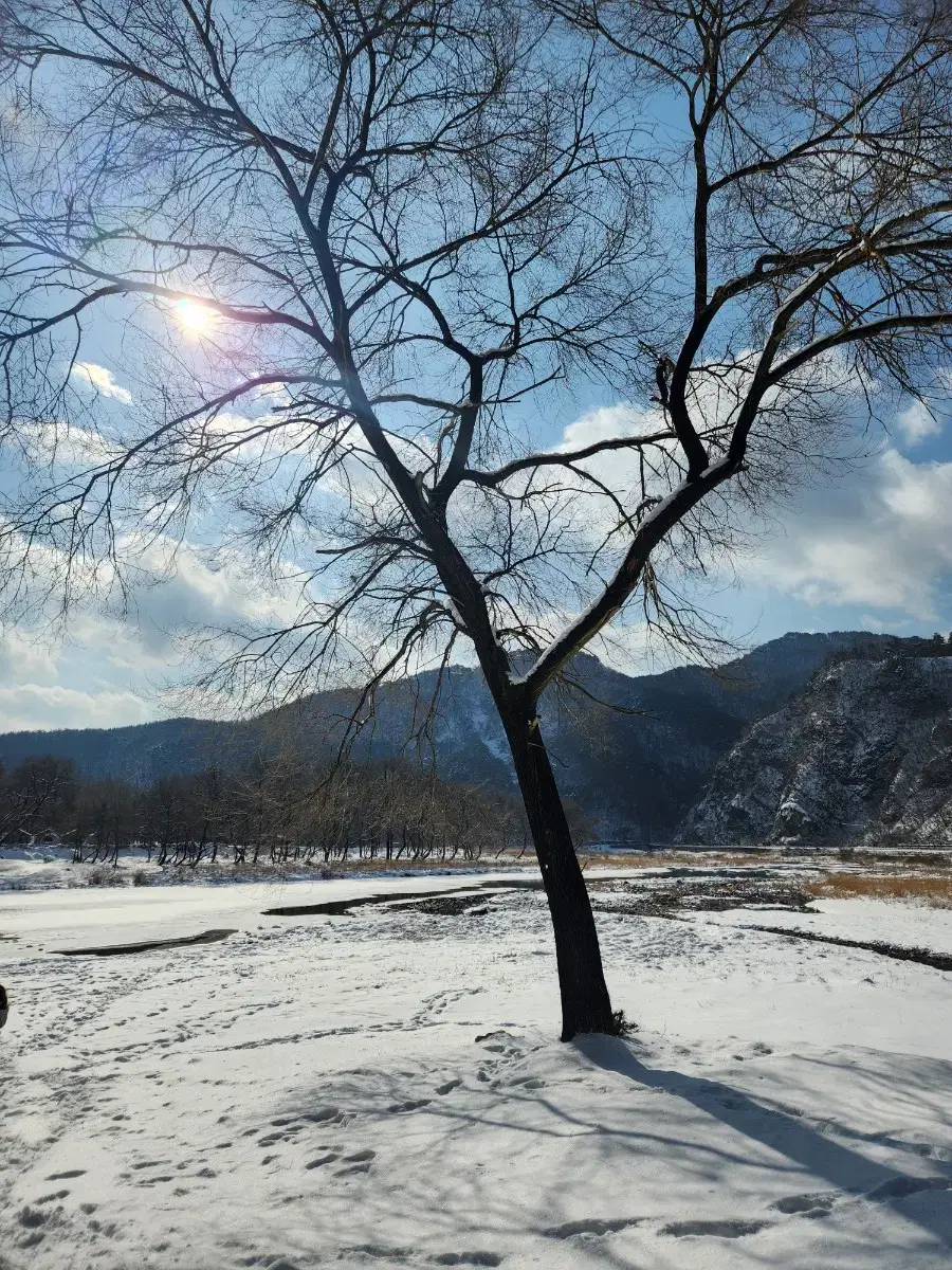 구글 콘.텐츠이용료 판매