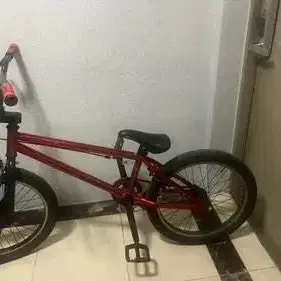 블랙타이판 bmx