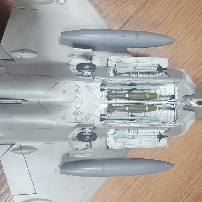 f-22 1/48 프라모델 도색작