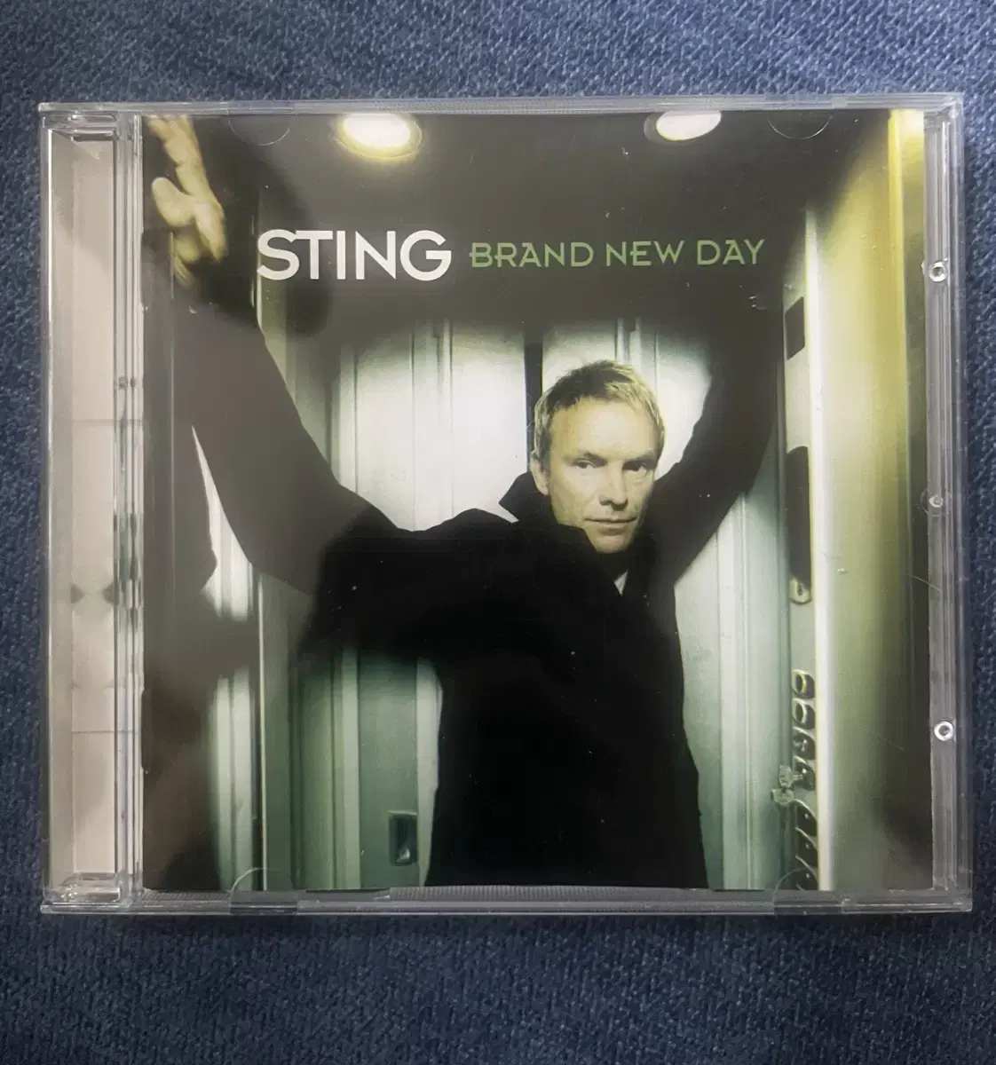 Sting (Brand New Day 1999)