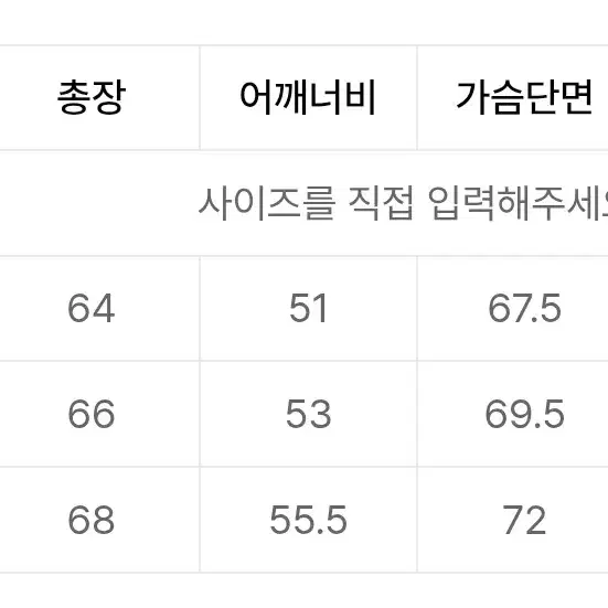 블랭크룸 MA-1 자켓 레인우드(2)