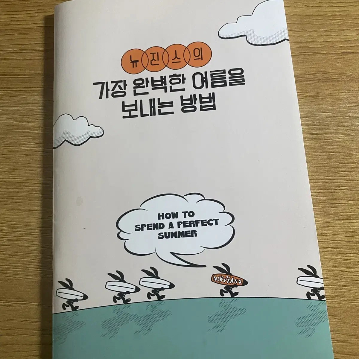 뉴진스의 가장 완벽한 여름을 보내는 방법(다이어리)