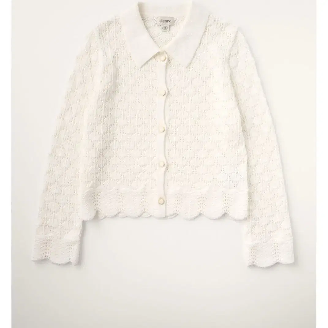 시엔느 chloe cardigan