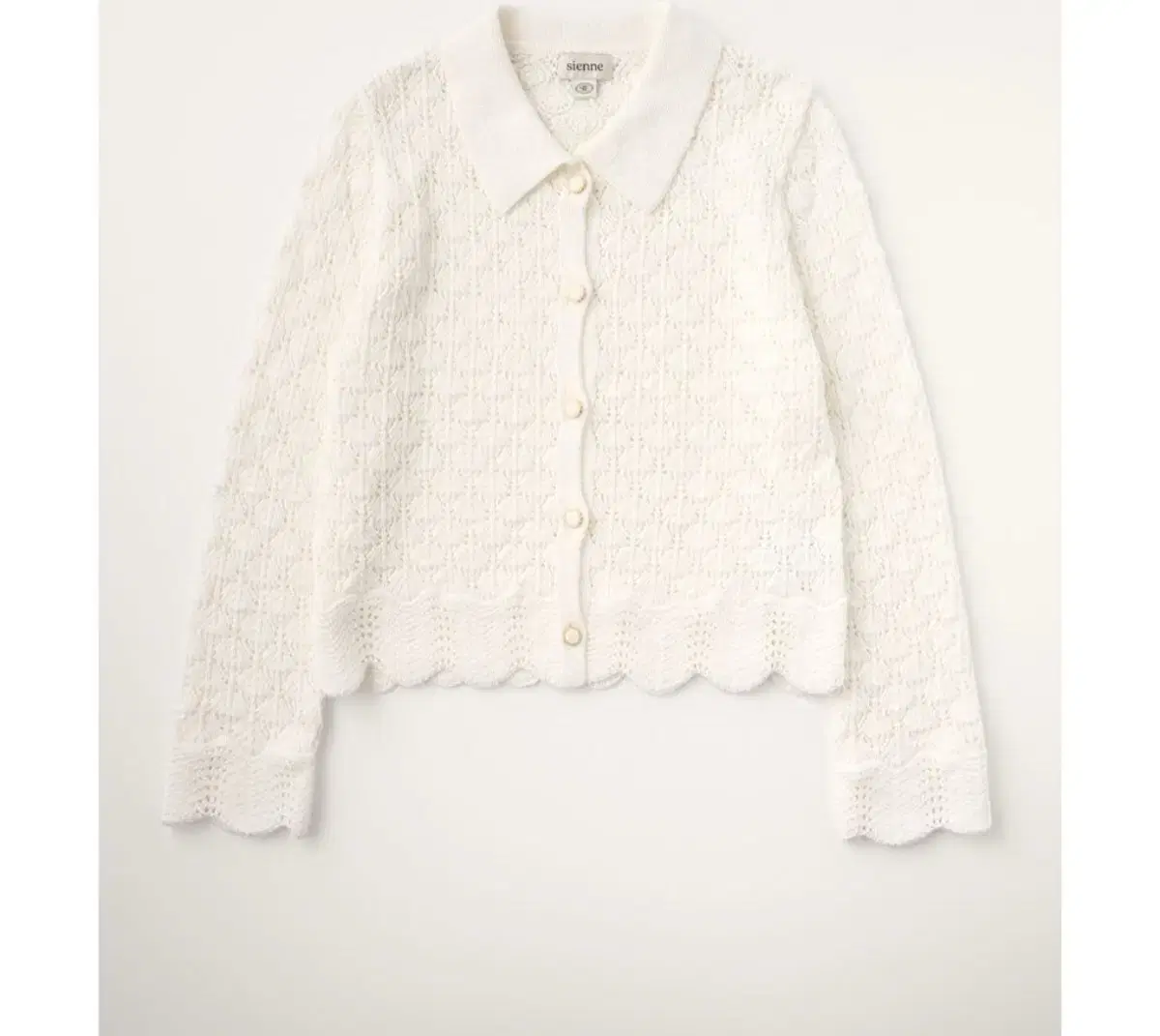 시엔느 chloe cardigan 가디건