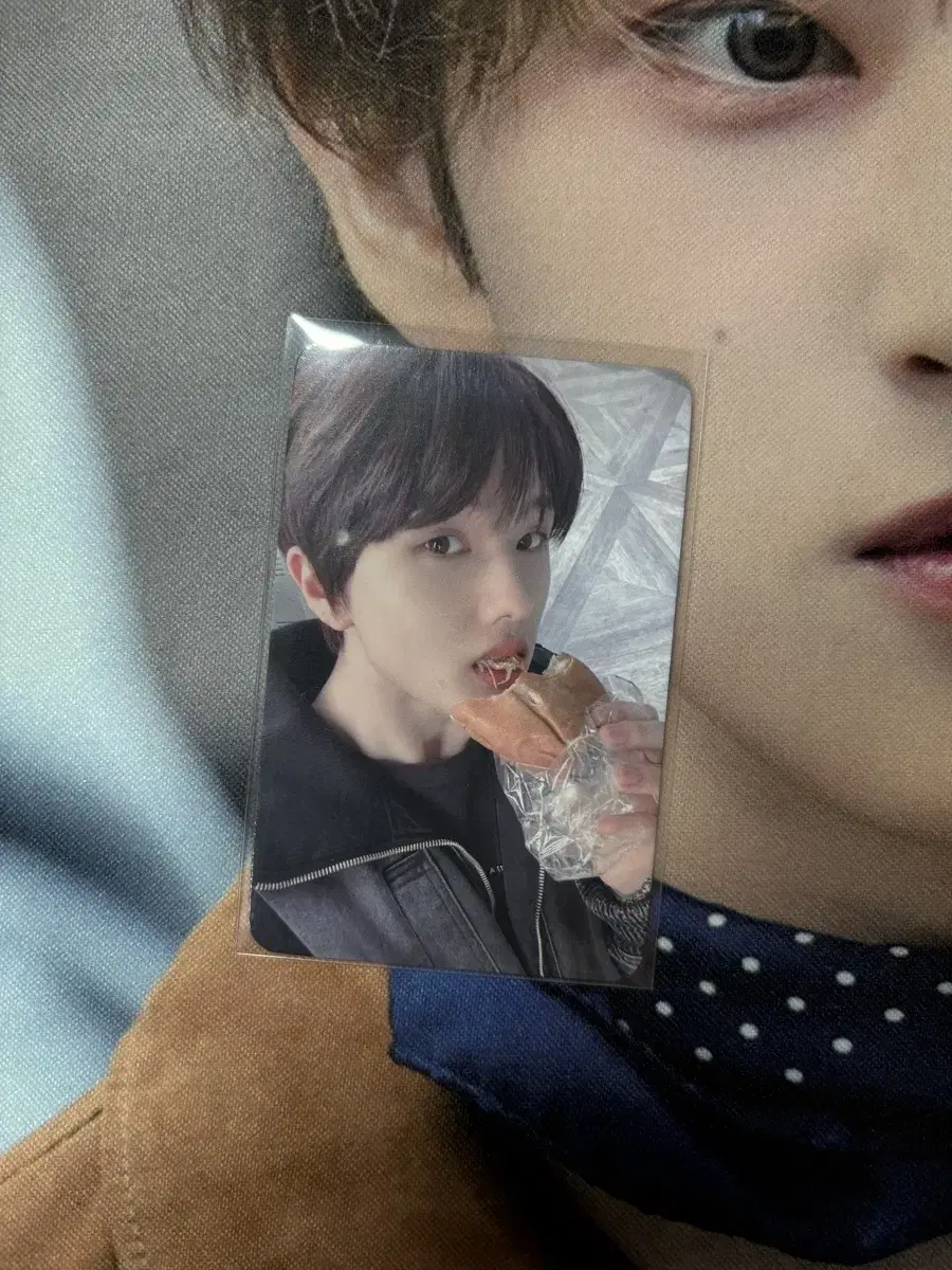 NCT jisung Candy musicplant unreleased photocard wts Vegetable Bread jisung Dream dream