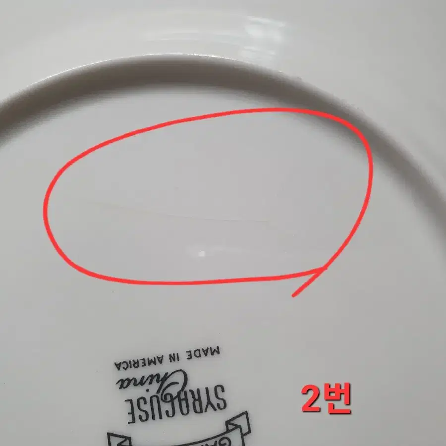 시라쿠스 가드니아 샐러드 20cm