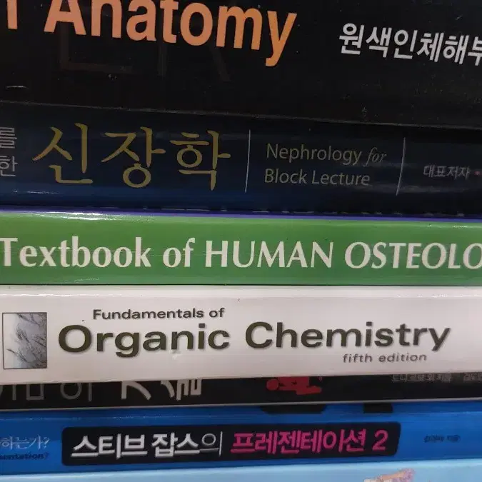 일반화학 human osteology