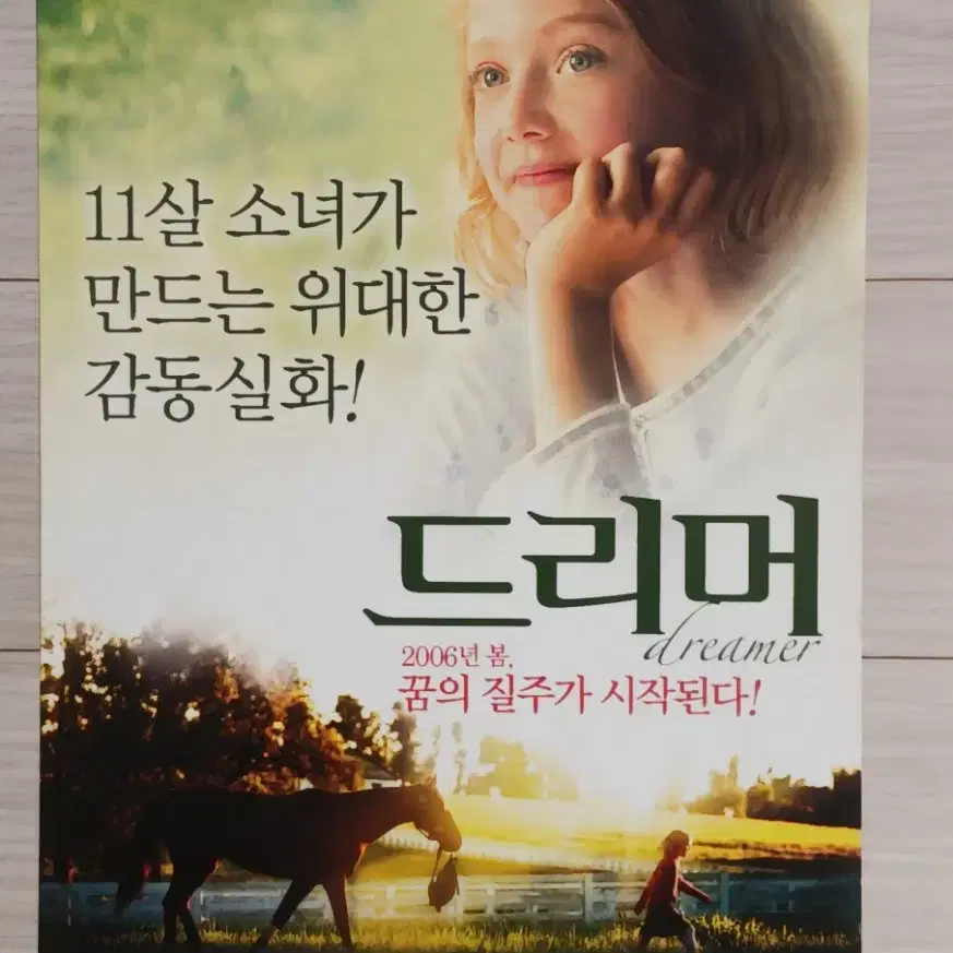 타코타패닝 드리머(2005년)전단지