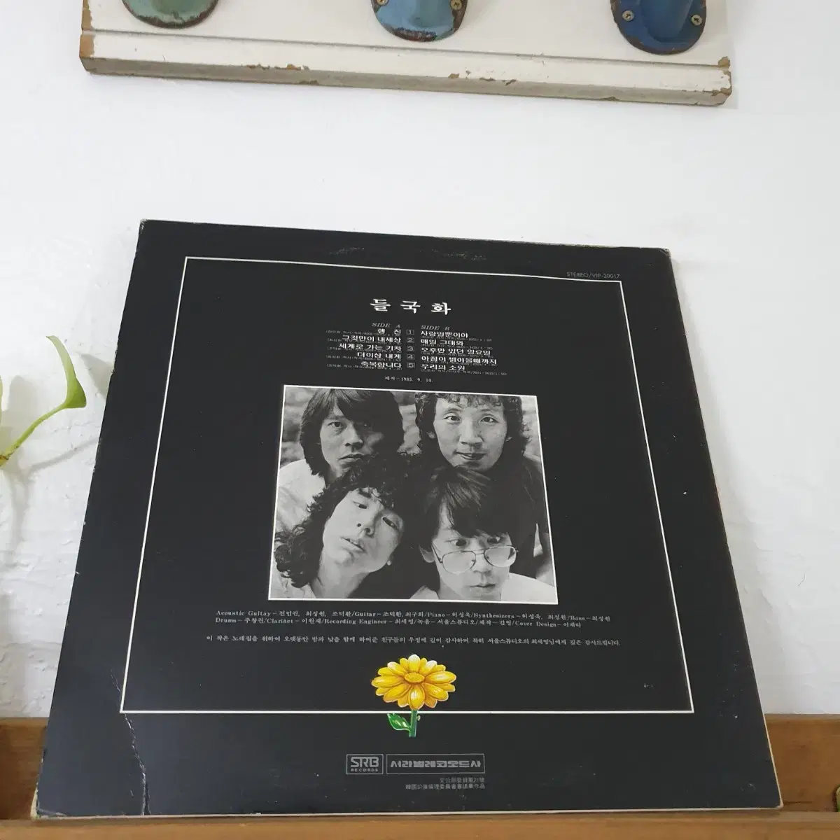 들국화1집 LP  1985  (한국대중음악100대명반)