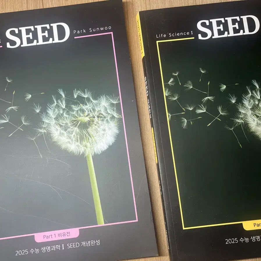 대성마이맥 박선우 seed 일괄