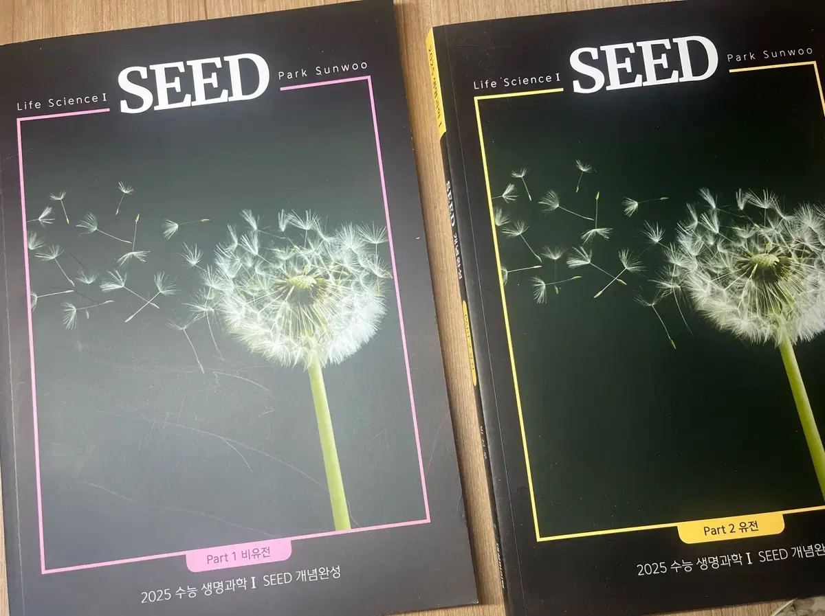 대성마이맥 박선우 seed 일괄