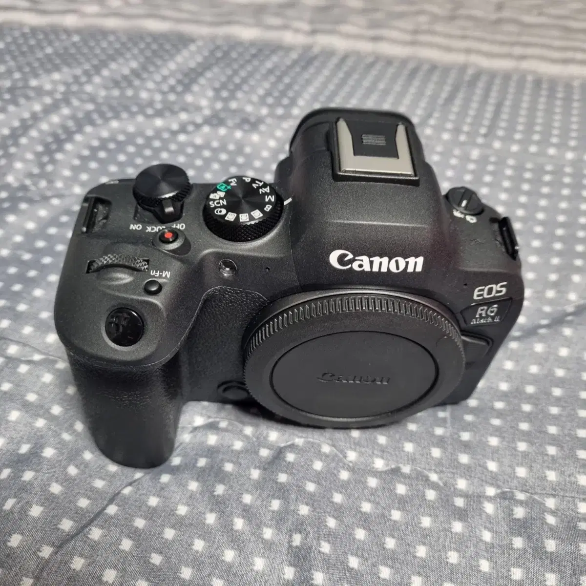 캐논 canon r6m2 r6mark2 알육막투 카메라 미러리스 바디