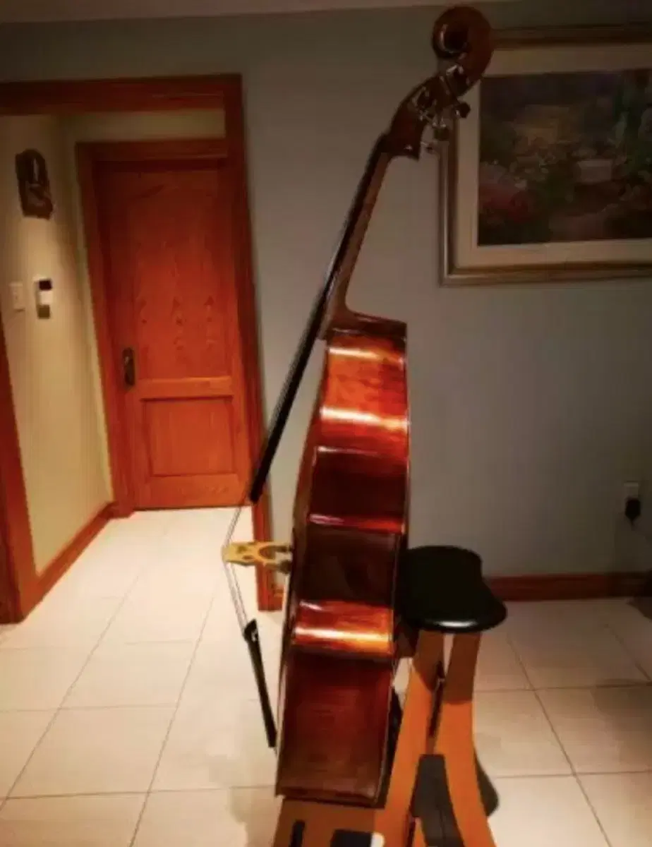 Contrabass stand and chair