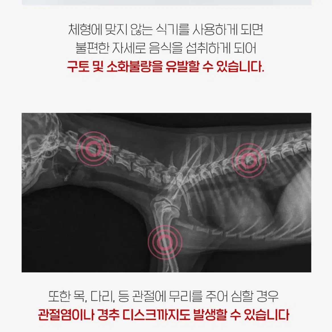 페스룸 강아지 고양이 식기 웰 핏 테이블 & 보울 세트