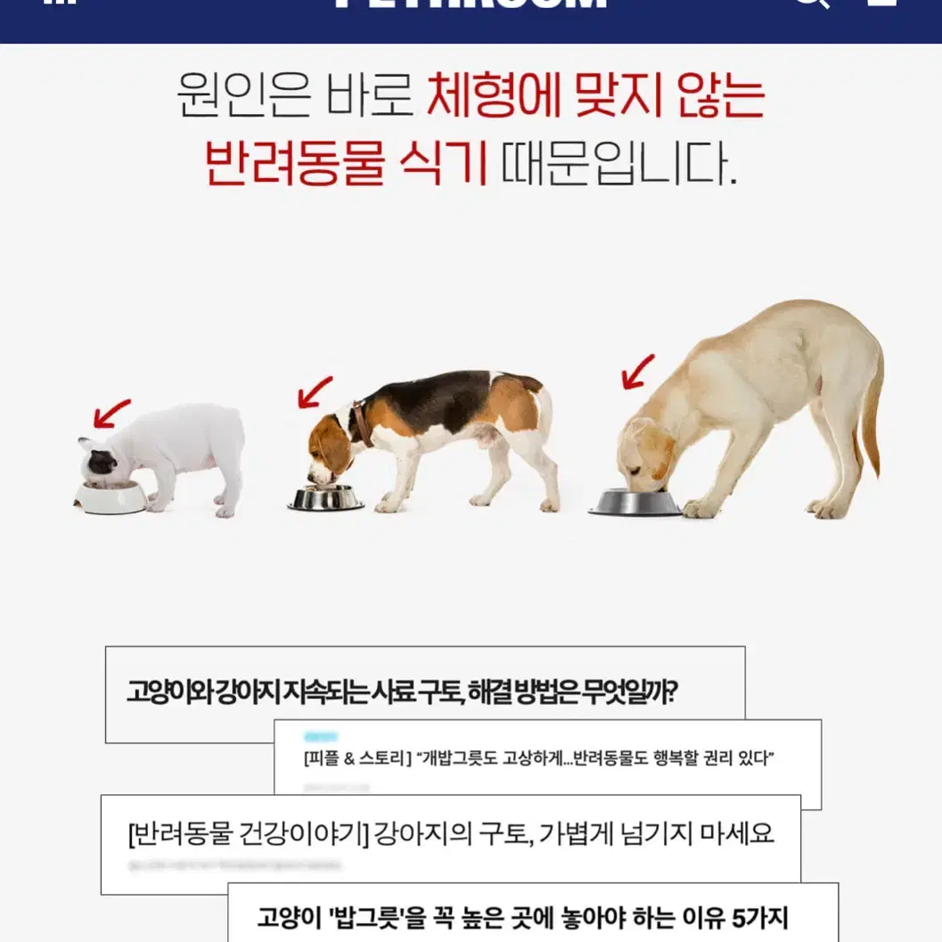 페스룸 강아지 고양이 식기 웰 핏 테이블 & 보울 세트