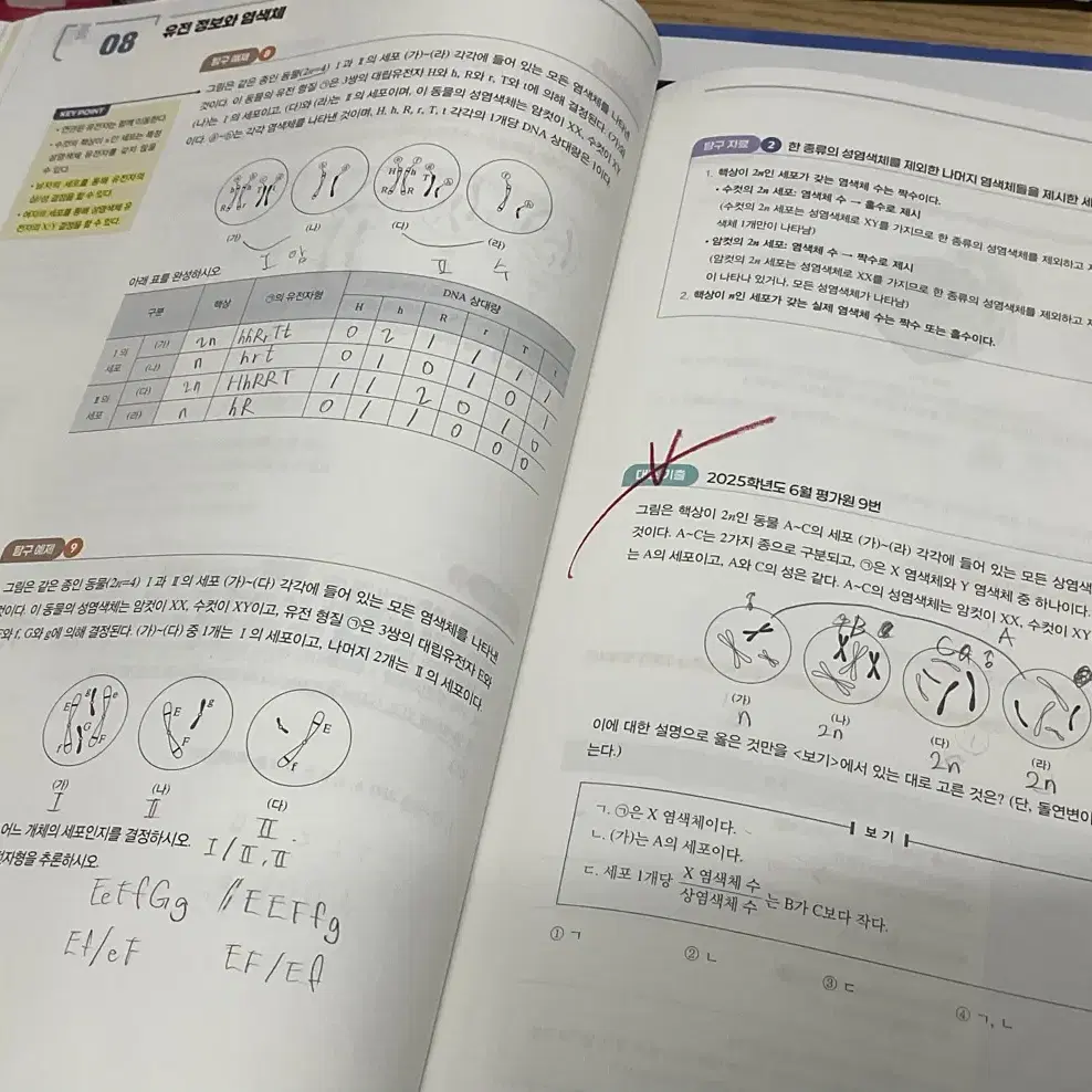 한종철 철두철미+MDGC(9만원치)