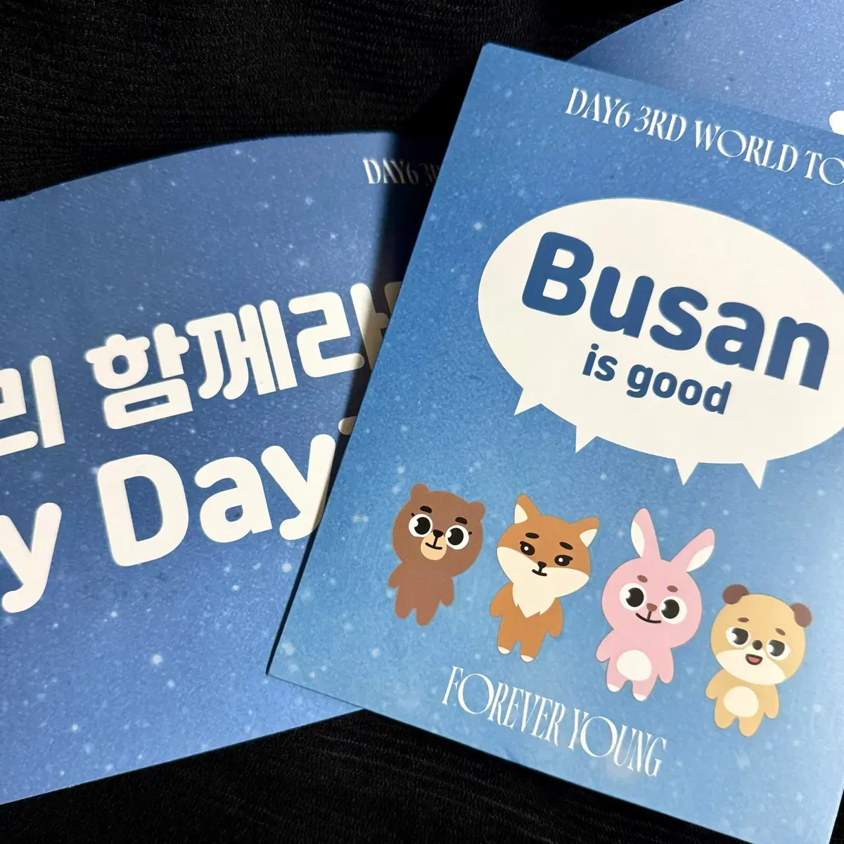 Day 6 Busan First Concert Admission Photocard Set Sealed