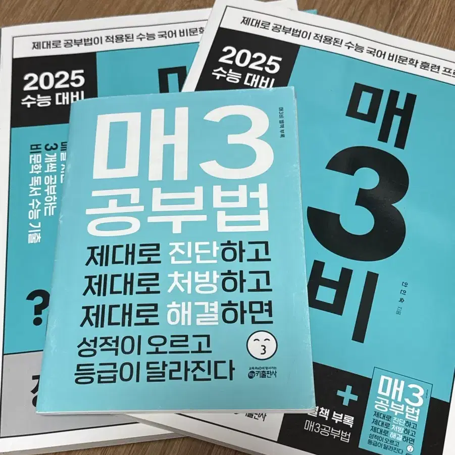 2025 수능대비 매삼비