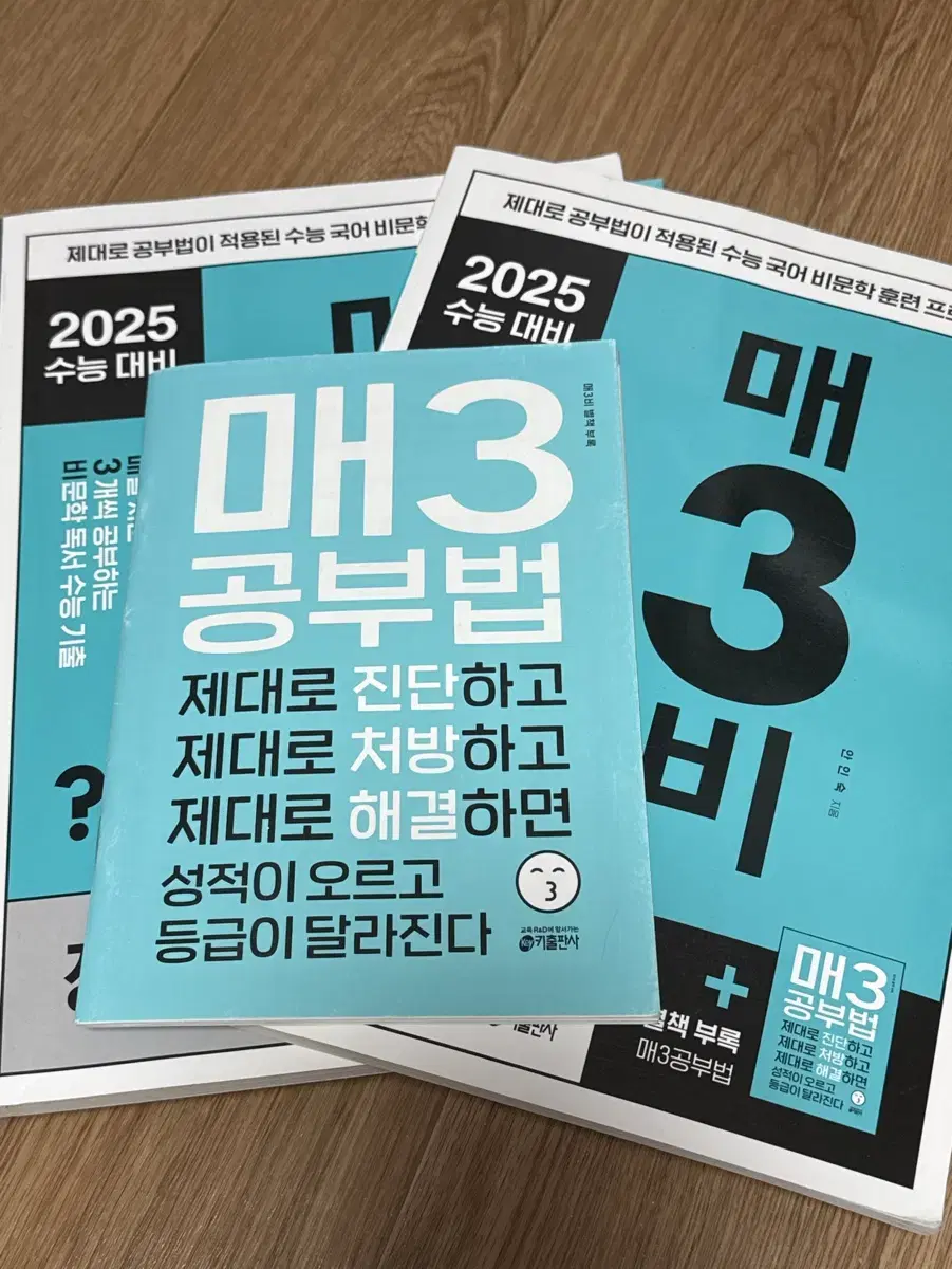 2025 수능대비 매삼비