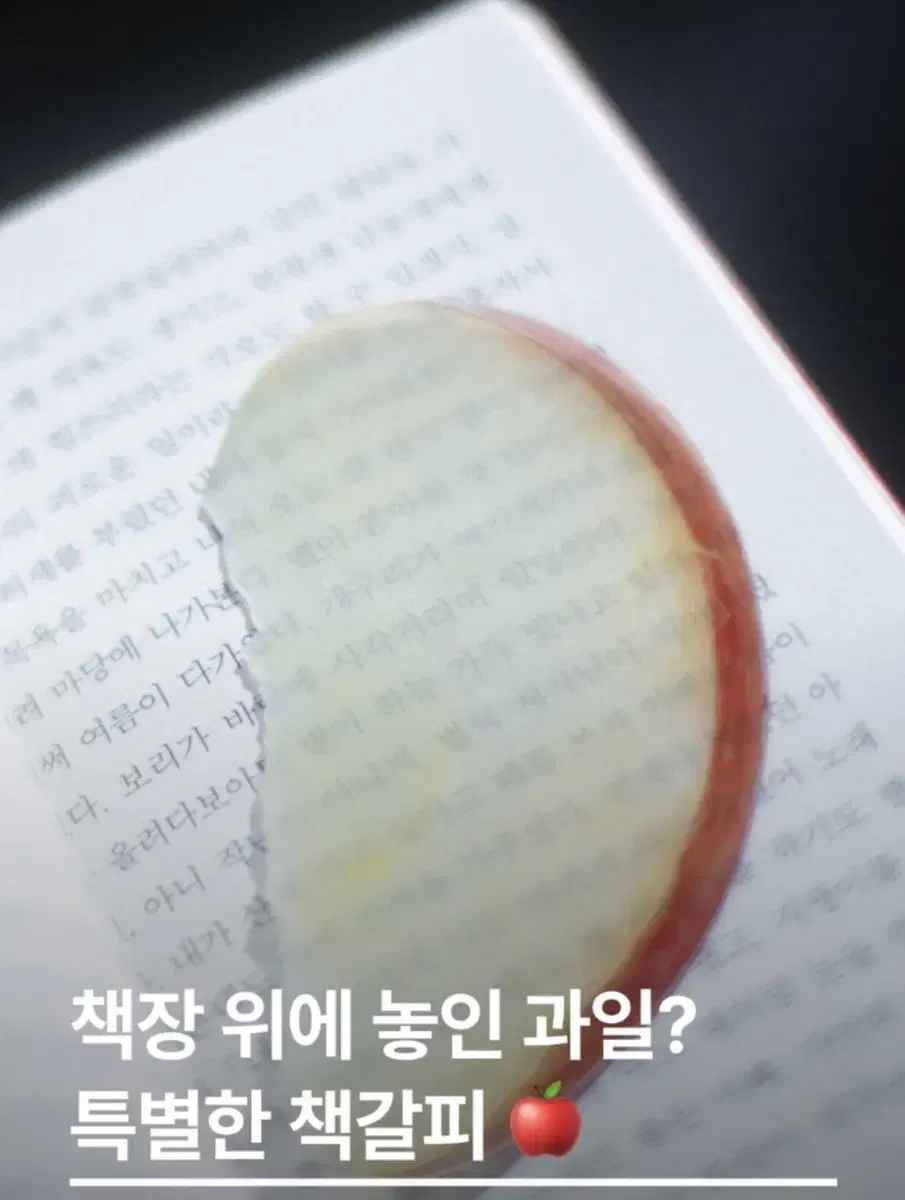 이옥토 사과 책갈피