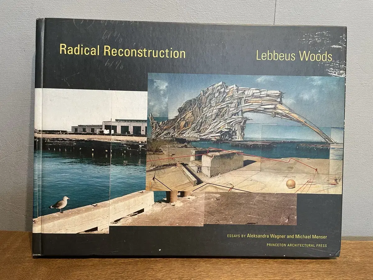 레비우스 우즈. Radical Reconstruction