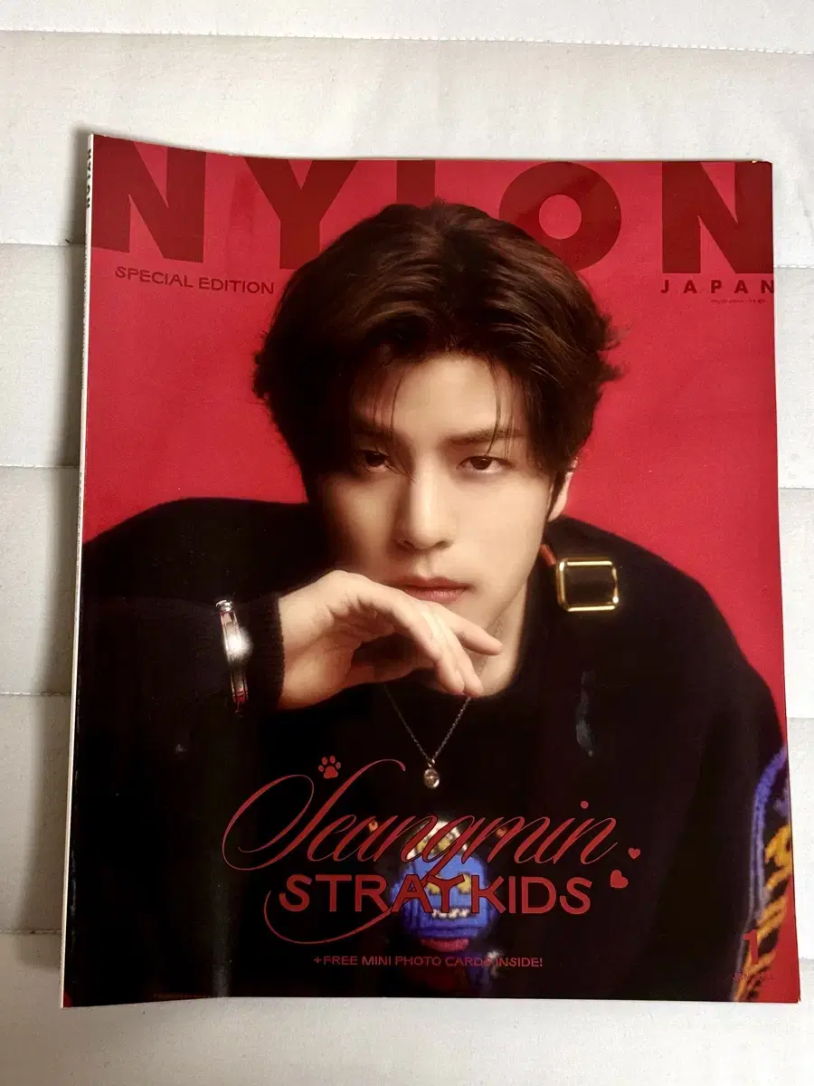 skz seungmin Nylon Japanese magazine December 2013 issue