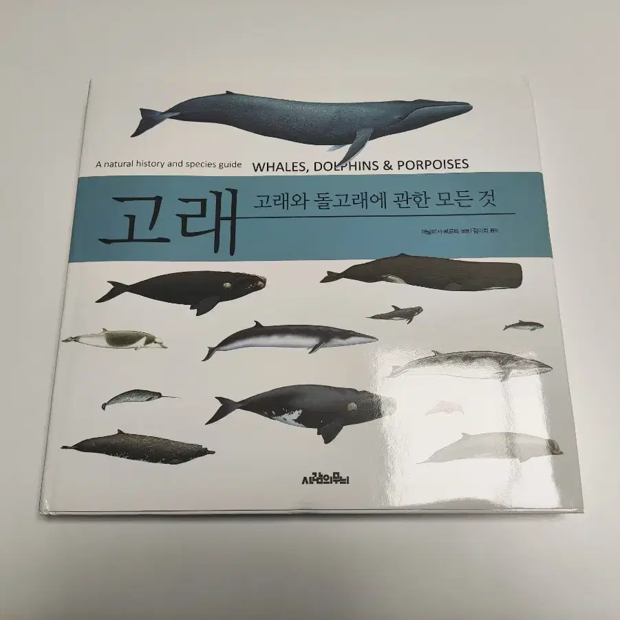 고래 - 고래와 돌고래에 관한 모든 것 - 책 도서