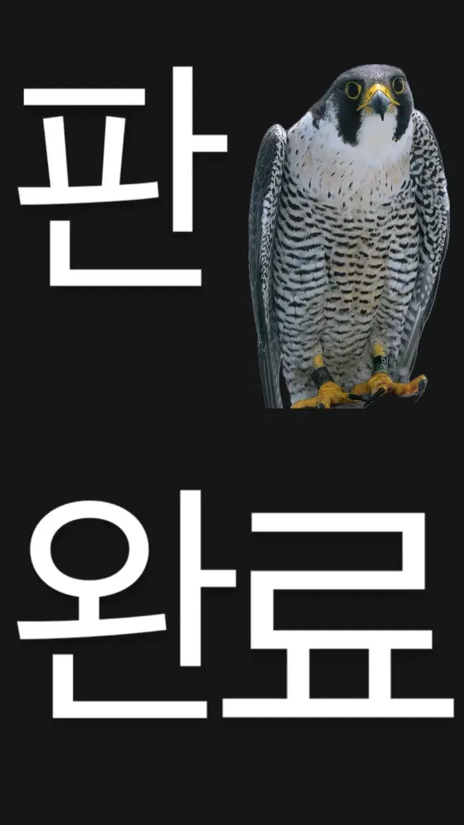 크릿디 메탈블루 (s) 판매/대차 임시글