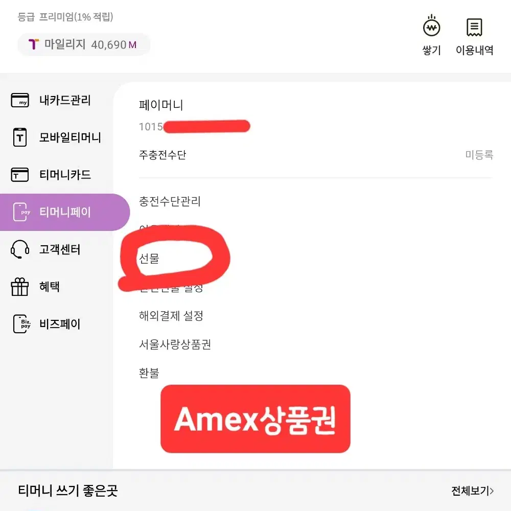 티머니페이머니 삽니다. 1분 입금 보장