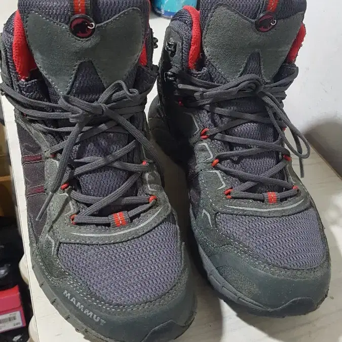 택포 250-255 정품 SWISS MAMMUT GORE-TEX 등산화!