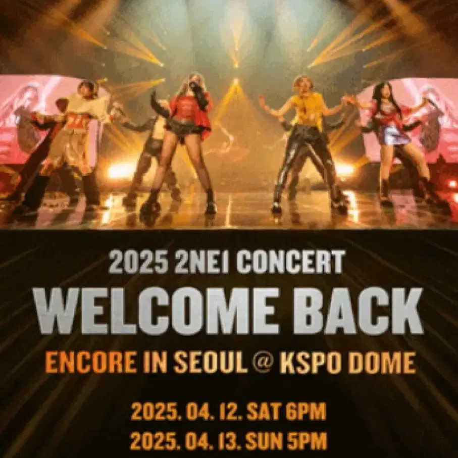 2ne1 콘서트 선예매권 양도 및 대리티켓팅 투애니원 댈티