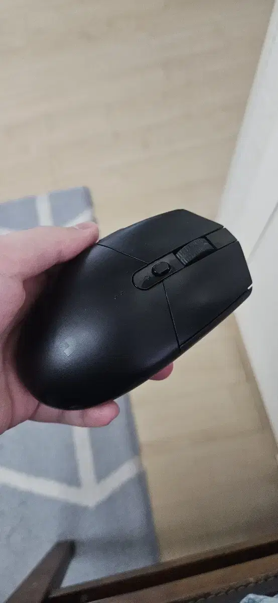 g304