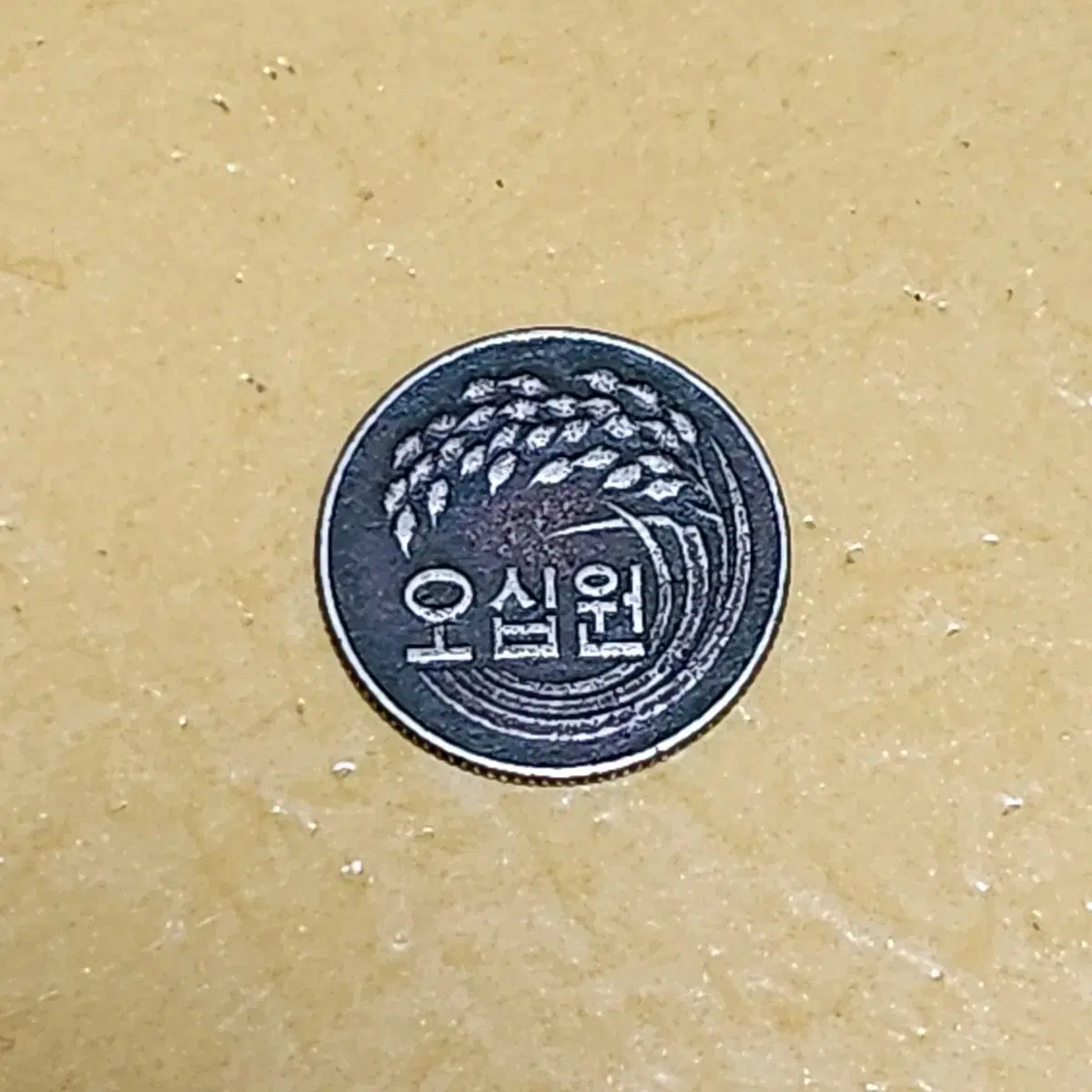 1973년도 50원