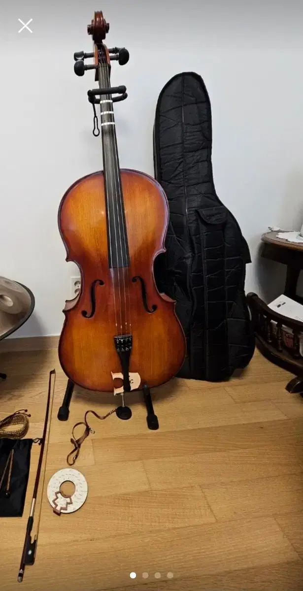 Adult cello