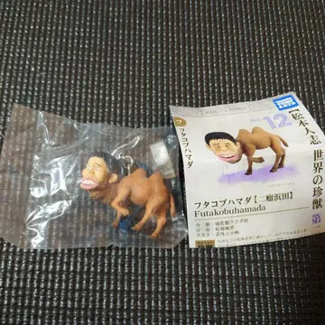 마츠모토 인지 세계의 진귀한 동물 후타코부하마다