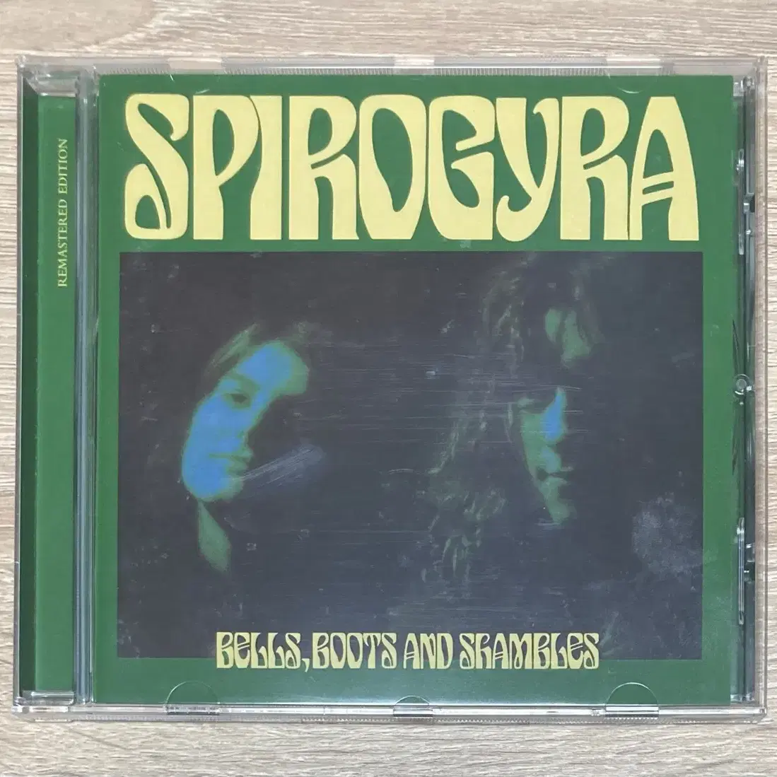 스파이로자이라 (Spirogyra) CD 판매