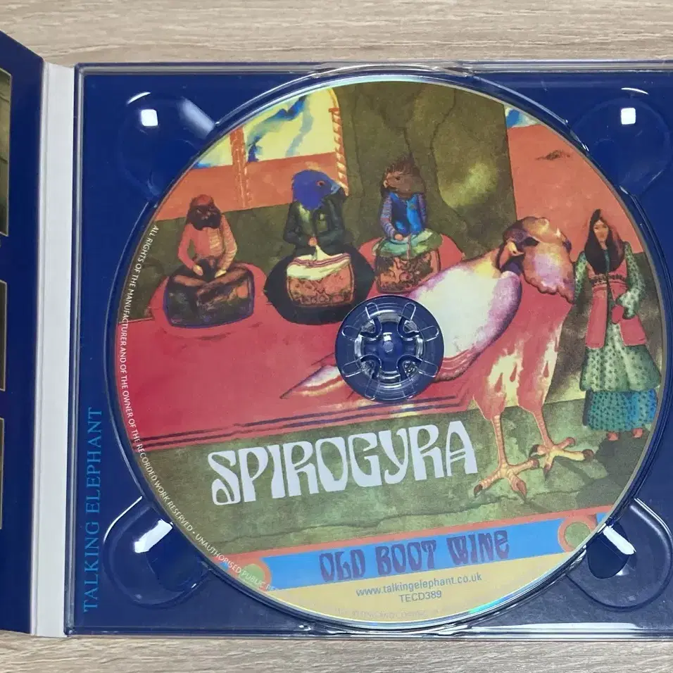 스파이로자이라 (Spirogyra) CD 판매