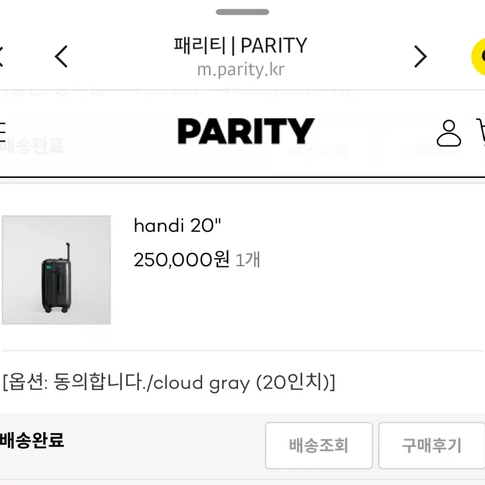 Parity 패리티 캐리어 기내용 20인치