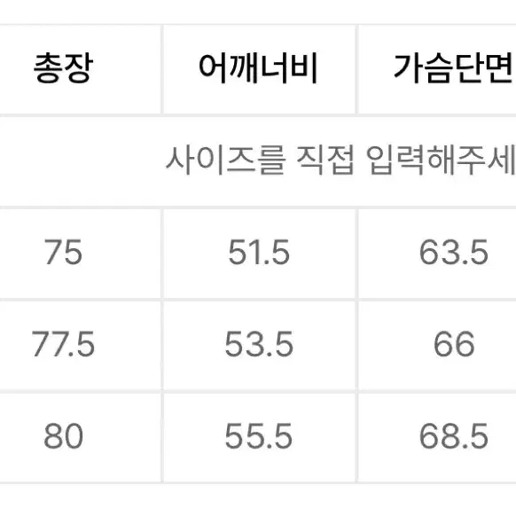 예스아이씨 체크 바람막이 L