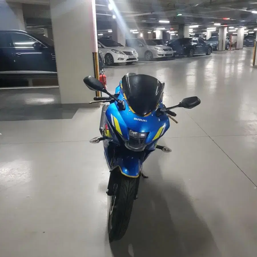 스즈키 gsxr125 RCB백스텝