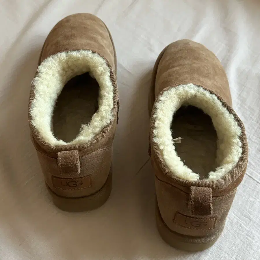 남성 UGG 어그 미니 부츠 체스트넛 양털 부츠 270 275