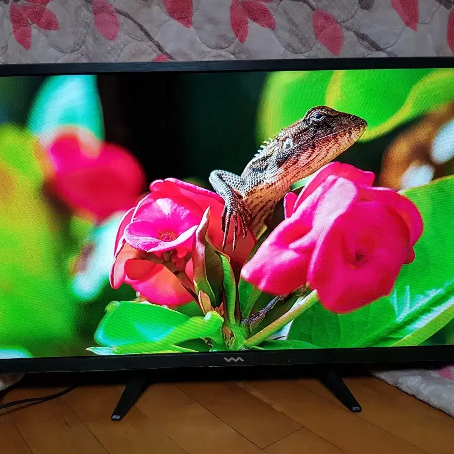 32인치 티비 모니터 LED TV 무결점 LG IPS 패널 양천구