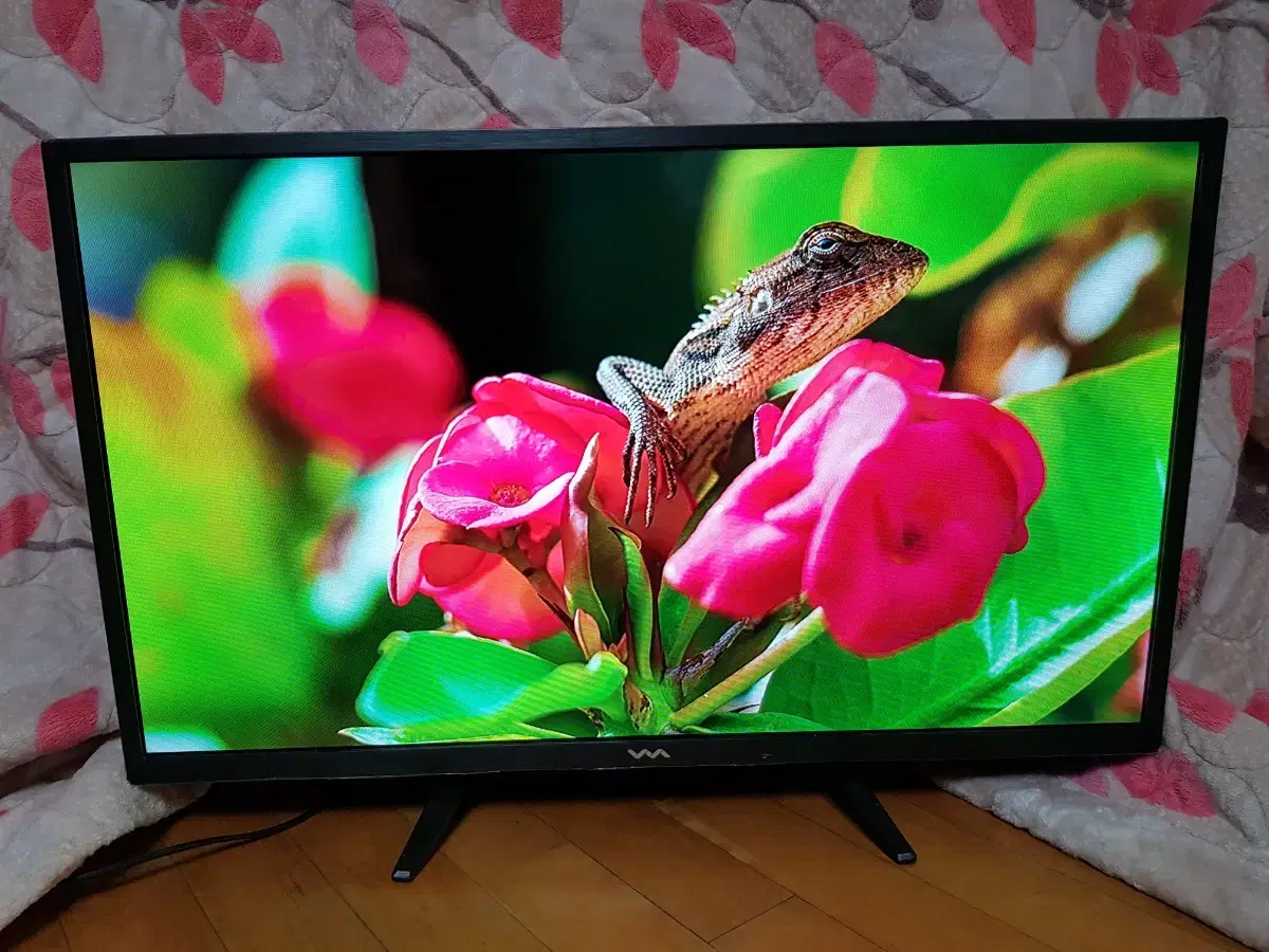 32인치 티비 모니터 LED TV 무결점 LG IPS 패널 양천구