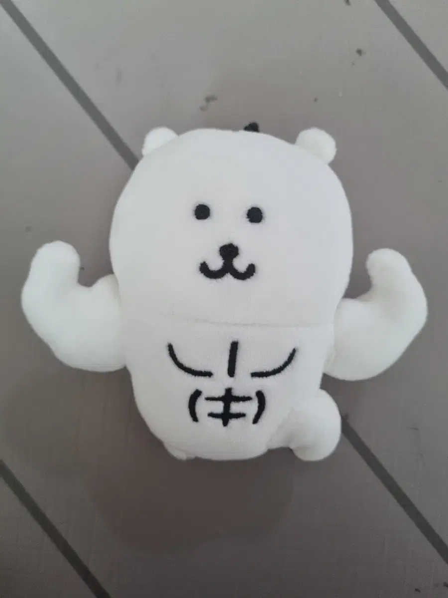 근육 농담곰 판매합니다