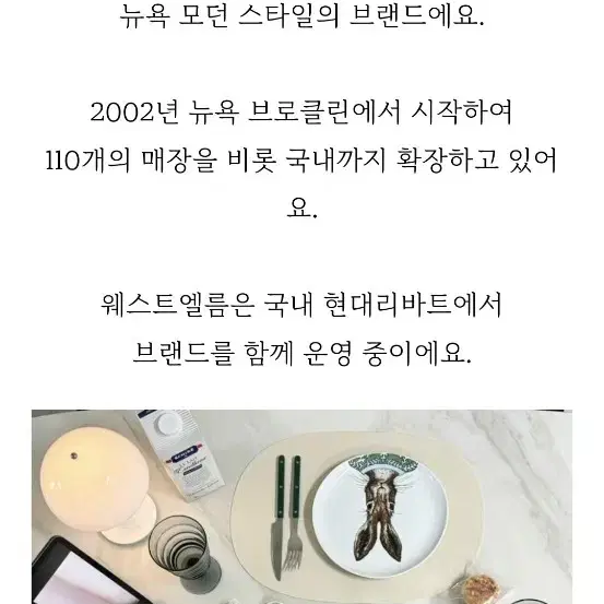 거북이 접시ㅡ 웨스트엘름 1개가격