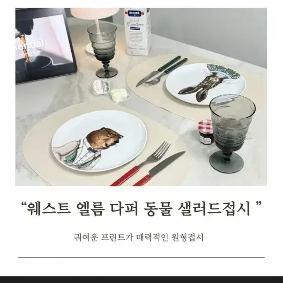 거북이 접시ㅡ 웨스트엘름 1개가격