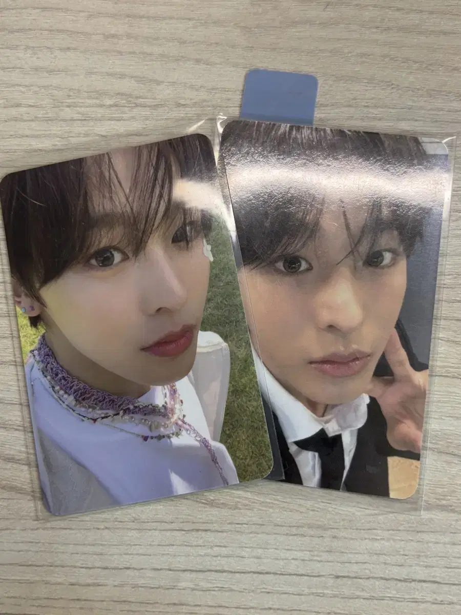 Songbird Riku, Steady apple music unreleased photocard riku WTS